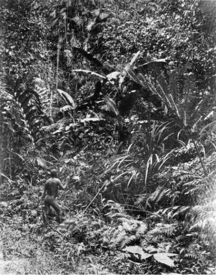 Djarragun